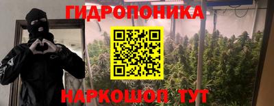 стаф Севастополь