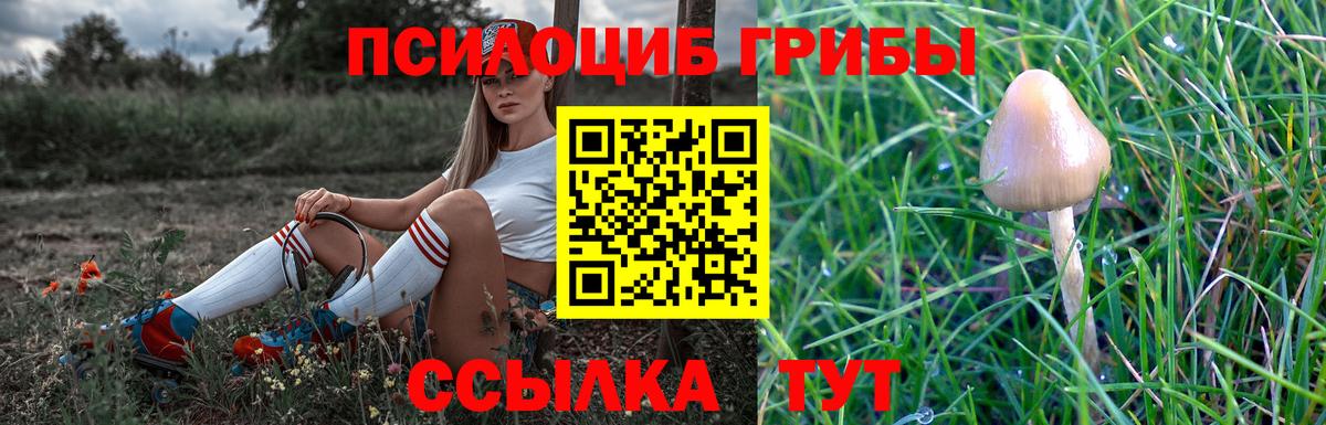 Псилоцибиновые грибы мухоморы Пыть-Ях
